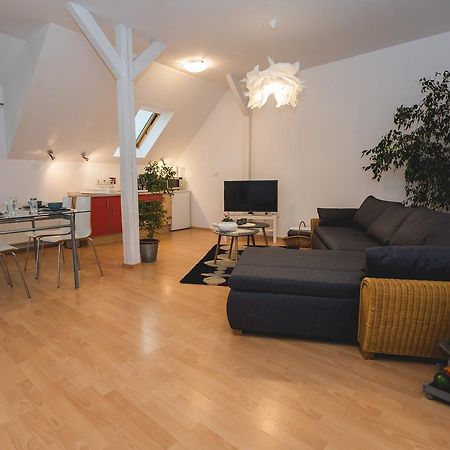 Terra Apartment Satu Mare Exteriér fotografie